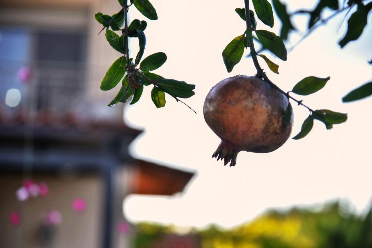 Villabayviewcrete Hersonissos  Dış mekan fotoğraf