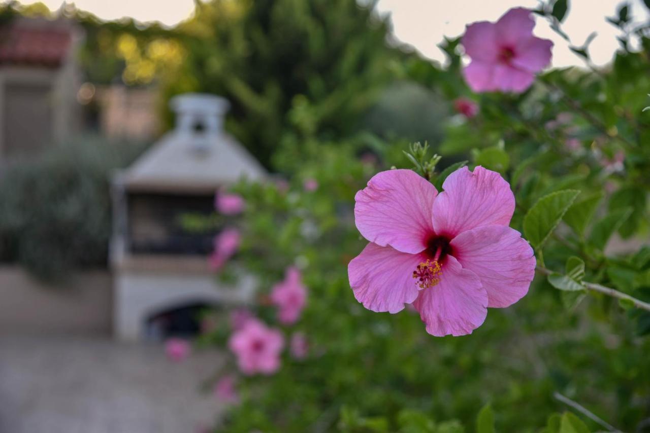 Villabayviewcrete Hersonissos  Dış mekan fotoğraf